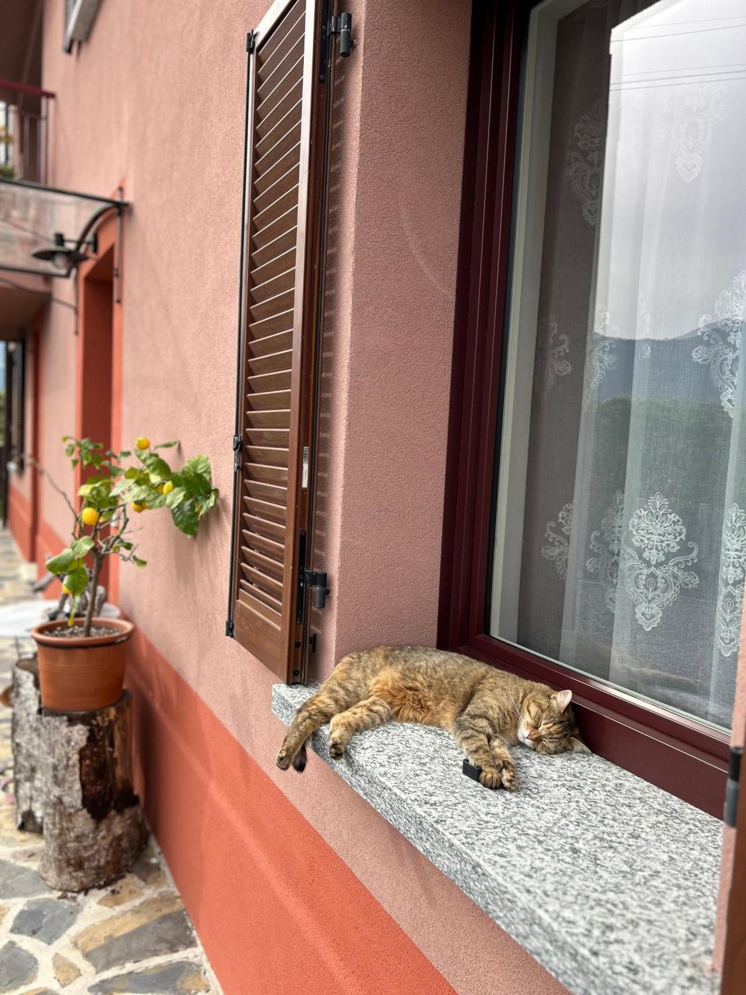 Il Mallo Verde - Lake Como B&B Мандельо дел Ларио Екстериор снимка